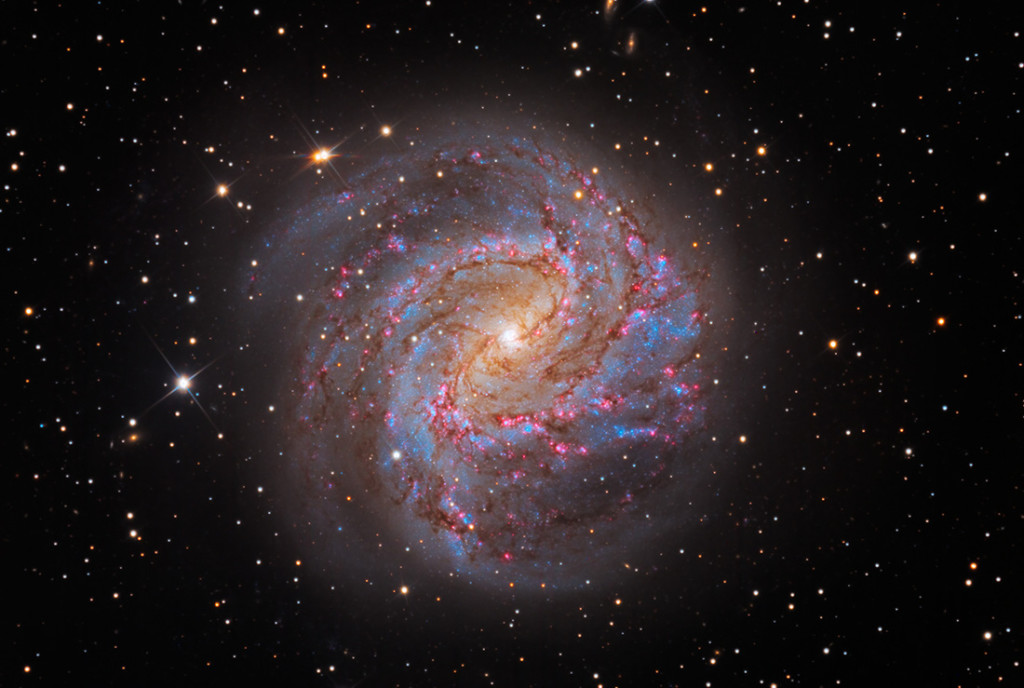 Messier 83, the "Southern Pinwheel", imaged at the Star Shadows Remote Observatory. Courtesy