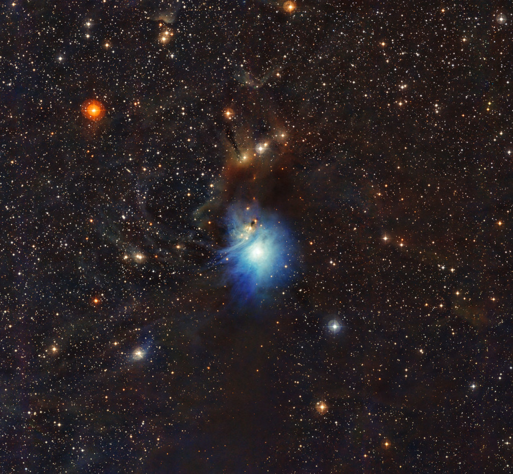 A newly formed star lights up the surrounding cosmic clouds in this image from ESO’s La Silla Observatory in Chile. Dust particles in the vast clouds that surround the star HD 97300 diffuse its light, like a car headlight in enveloping fog, and create the reflection nebula IC 2631. Although HD 97300 is in the spotlight for now, the very dust that makes it so hard to miss heralds the birth of additional, potentially scene-stealing, future stars. Credit: ESO.