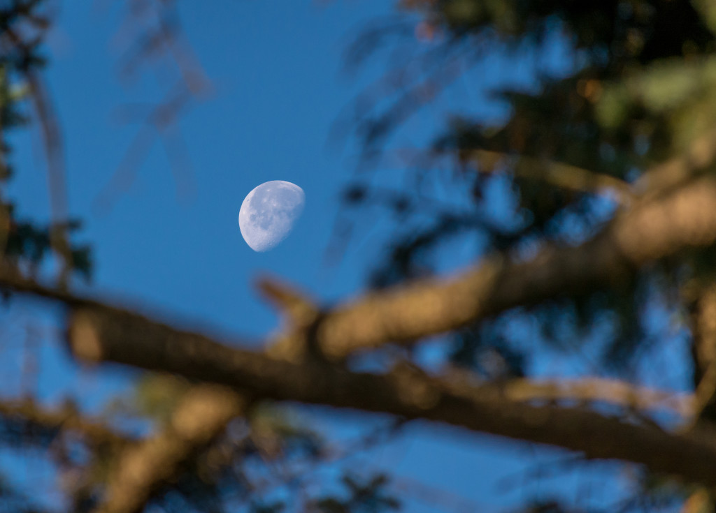 The Moon is a spectacular sight in nearly any pair of binoculars.