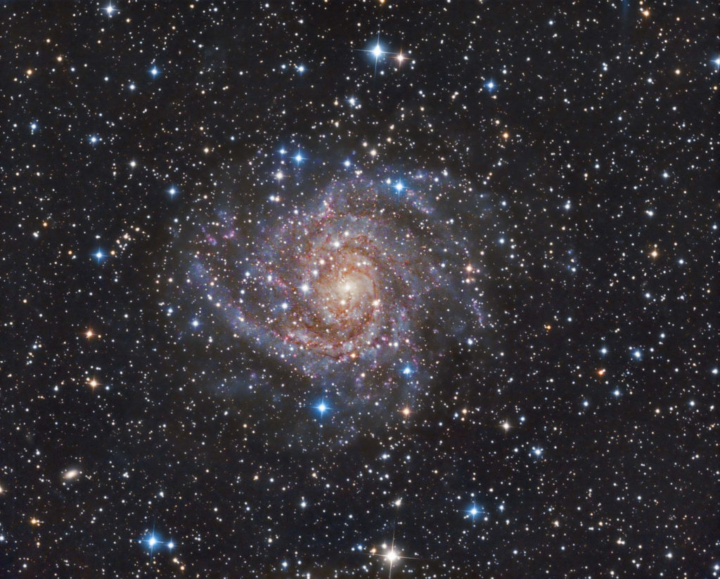 The nearly face-on spiral galaxy IC342 (Caldwell 5) in the constellation Cepheus. Image credit: Terry Hancock.