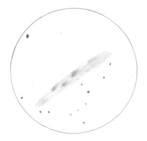 A rough sketch of NGC 55 made with a 10" f/4.7 Newtonian reflector at 65x.