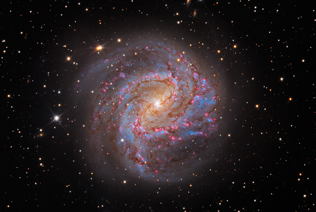 The Southern Pinwheel M83 Cosmic Pursuits The Southern Pinwheel M83 Cosmic Pursuits