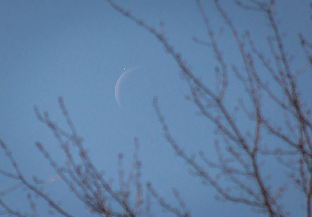 Venus moves towards the limb of the crescent Moon before a lunar occultation of Venus in daytime on December 7, 2015.