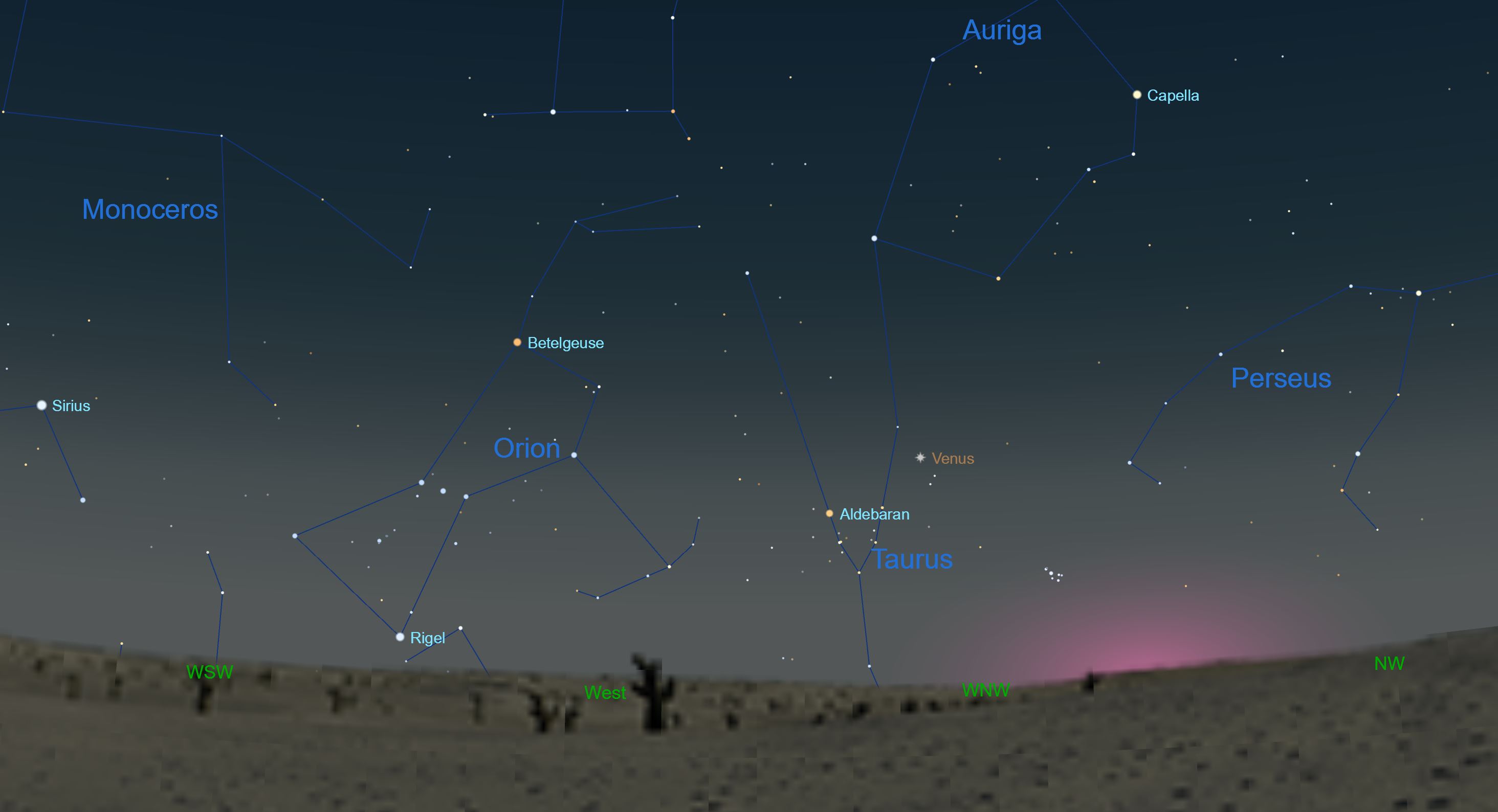 exklusiv-intellektuell-psychologisch-bright-star-in-the-west-sch-fer